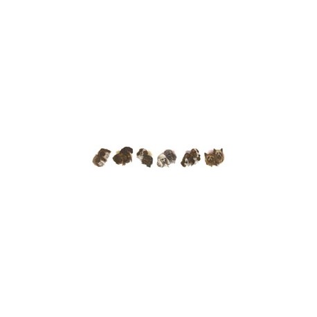 Dogs Heads (set of 6) 15mm(36)
