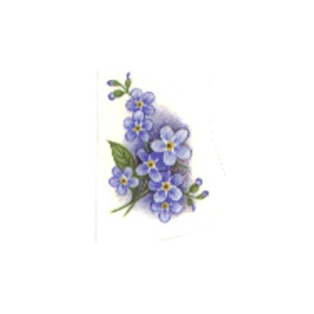 FORGET ME NOT 30x20mm BLUE (9)