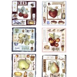 FRUITS OF THE VALE 9.5X9.5CM (SET OF 6)