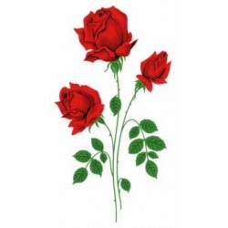 GLASS RED ROSE 125X75MM (10)