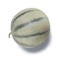 Melon 60mm