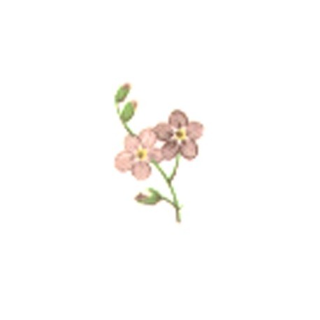 PINK FORGET ME NOT 20X15 MM