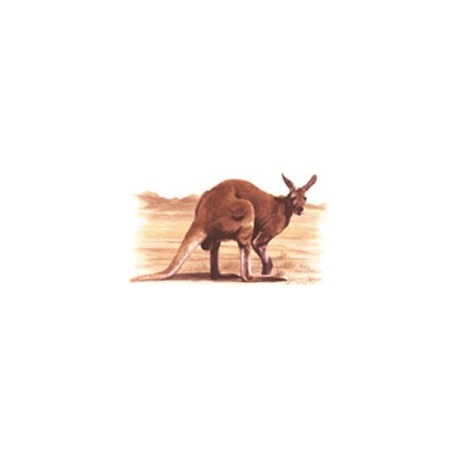 Red Kangaroo 45mm (21) - non-fire