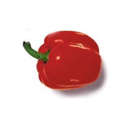Red Pepper 55mm
