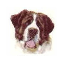 Saint Bernard 25mm