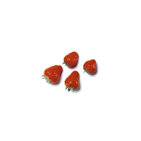 Strawberry 25mm