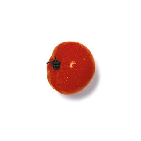 Tomato 40mm(3)