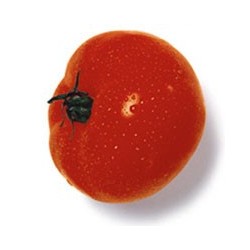 Tomato 58mm