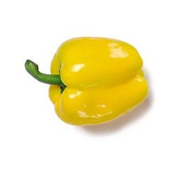 Yellow Pepper 35mm