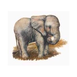 African Elephant 38 x 40mm(4)