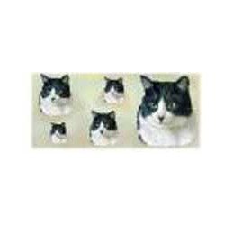 Black & white cat mugwrap