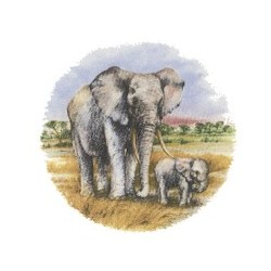 AFRICAN ELEPHANT 75mm(6)