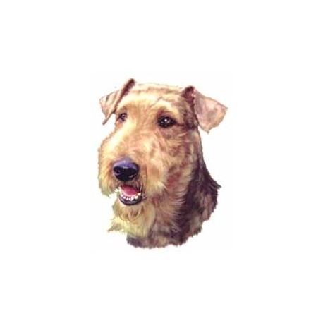 Airedale Terrier 25mm No B/G