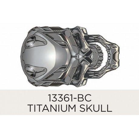 Titanium Skull 60mm (1)