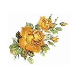 Anniversary Golden Rose 40x25mm(24)