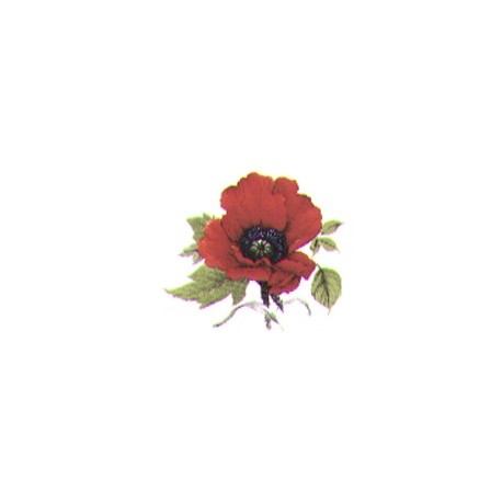 Autumn poppy 33 x 27 mm(4)