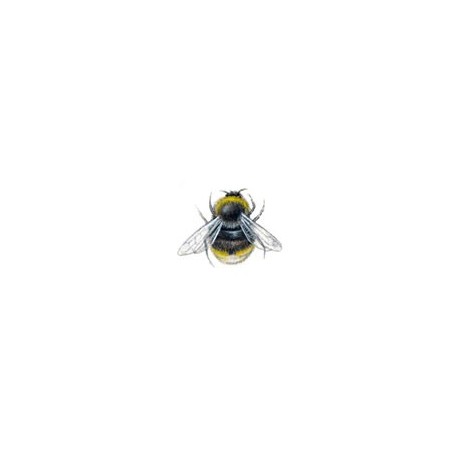 Bees 16 x 12mm (32)