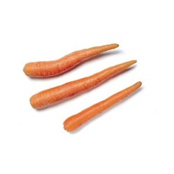 Carrots 40mm