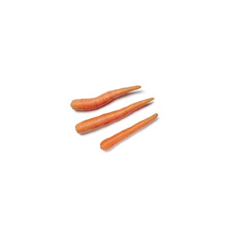 Carrots 40mm